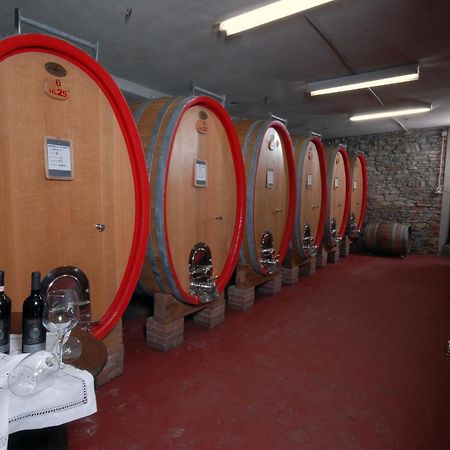 Agriturismo I Grappoli Serralunga d'Alba Exteriér fotografie