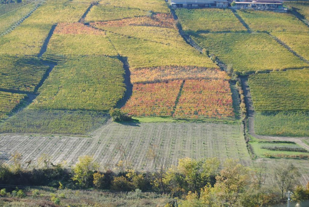 Agriturismo I Grappoli Serralunga d'Alba Exteriér fotografie