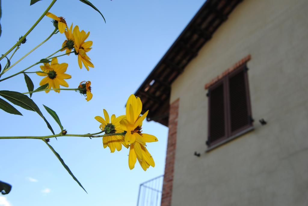 Agriturismo I Grappoli Serralunga d'Alba Exteriér fotografie